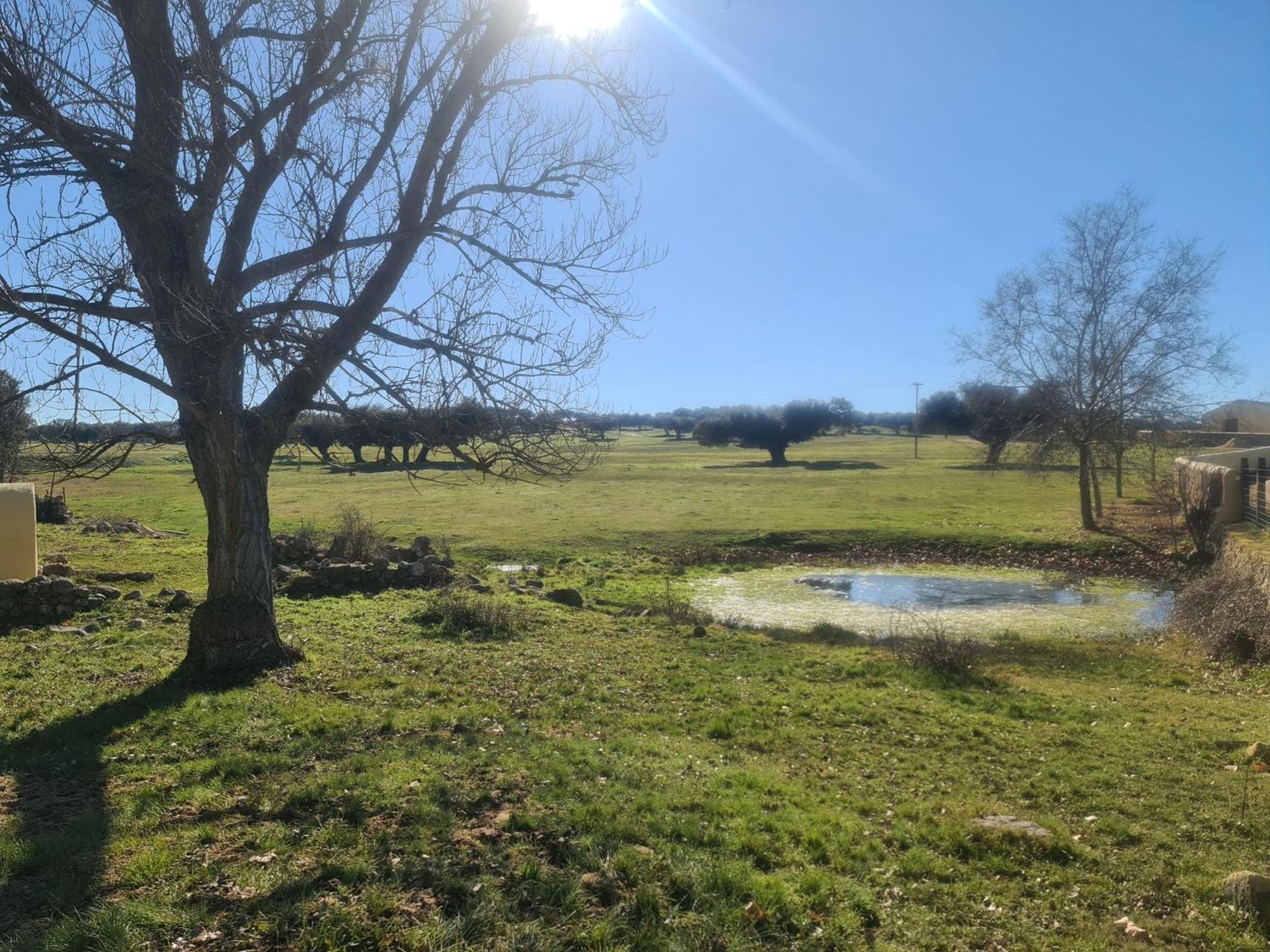 Casa Rural Palacio Conde De Aldana Con Piscina Entre Encinares Y Dehesas Terradillos المظهر الخارجي الصورة